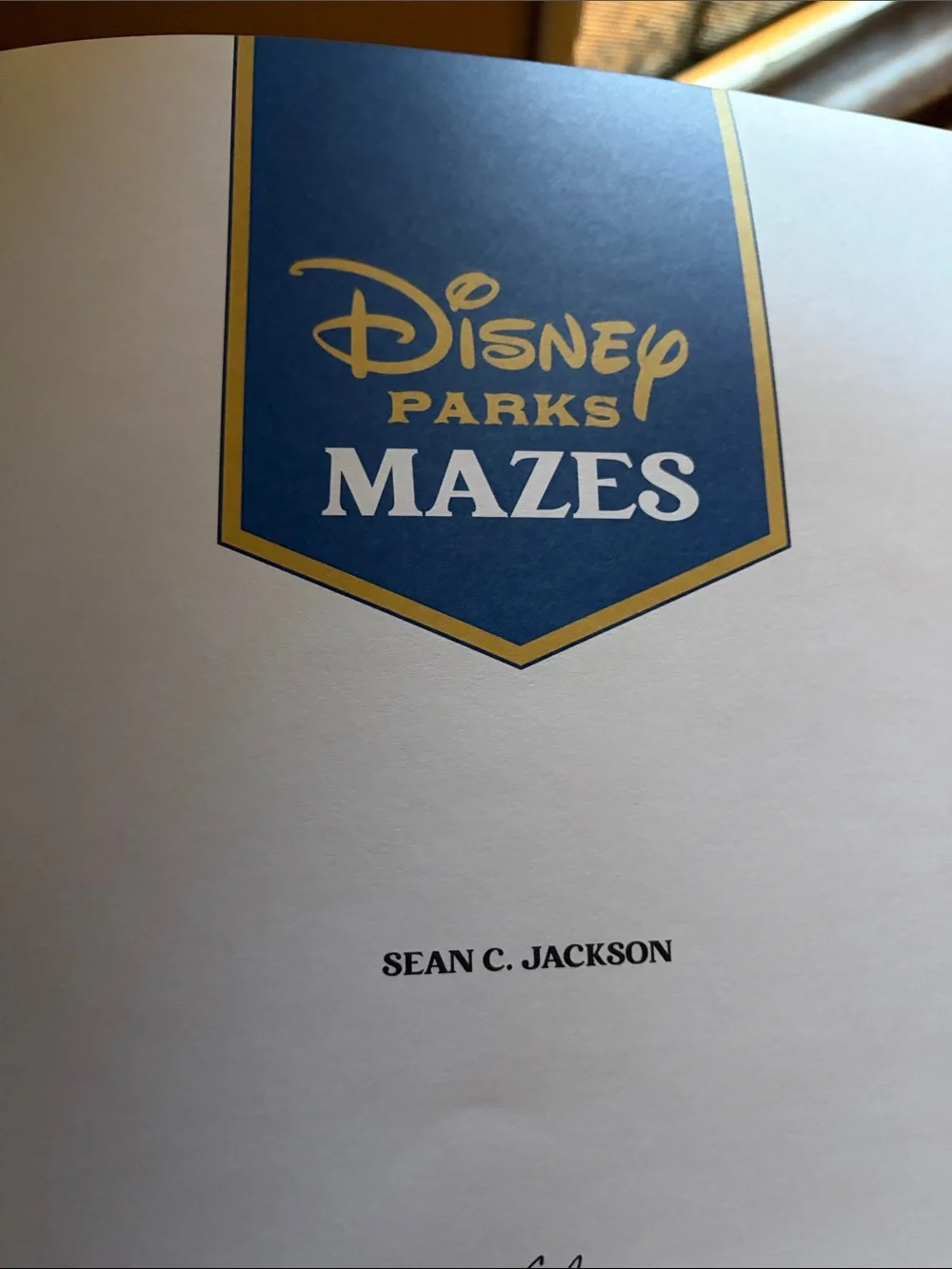Disney Parks Mazes Activity Book - Blue, White, Green, Pink Cover